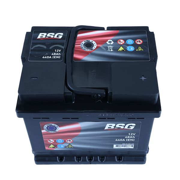 SEALED BATTERY +R 48AH [207X175X175mm] Image